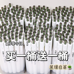 バケツ入りブラシ問題筆茉緑白茶押し中性筆insシンプル高颜値学生用速乾0.5mm試験