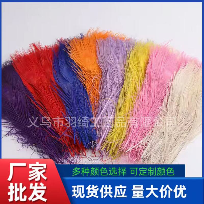 Factory in stock supply 25-30cm color peacock feather stage performance decoration dyed peacock feather DIY jewelry