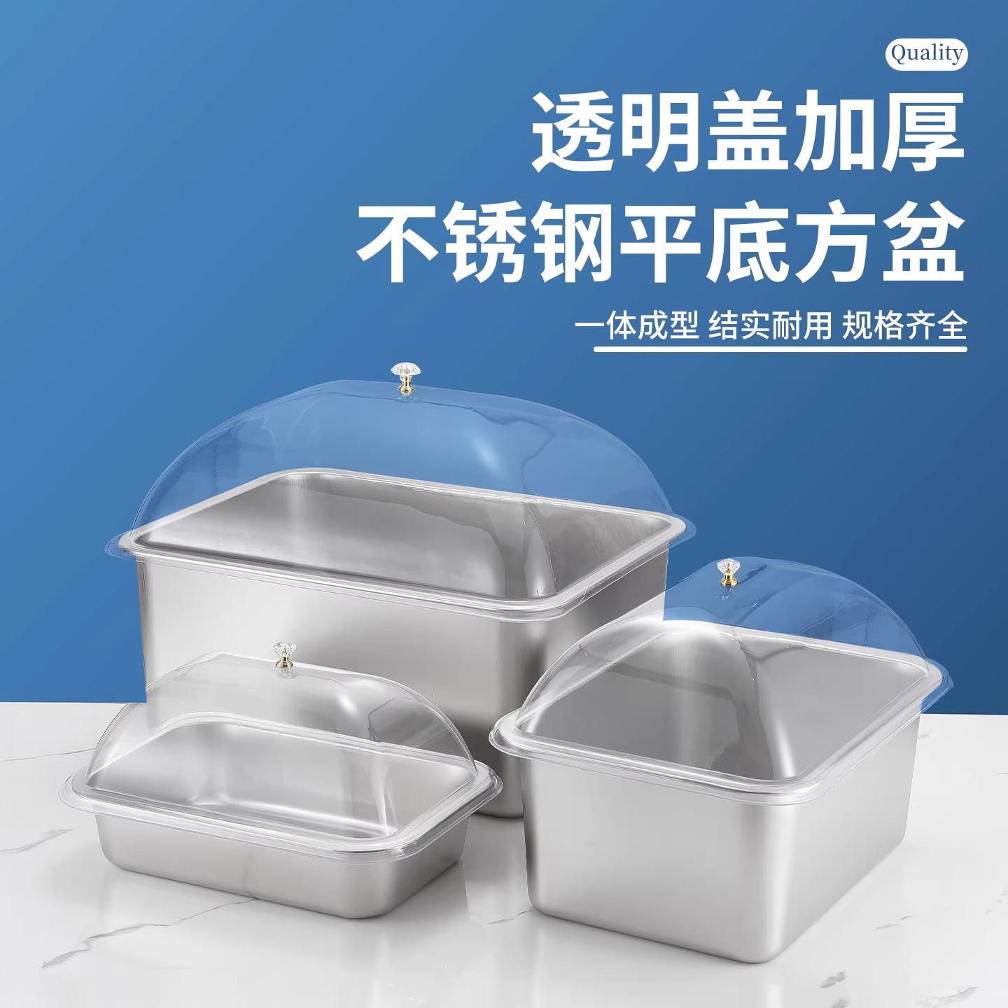 Stainless Steel Clear Serving Tray
