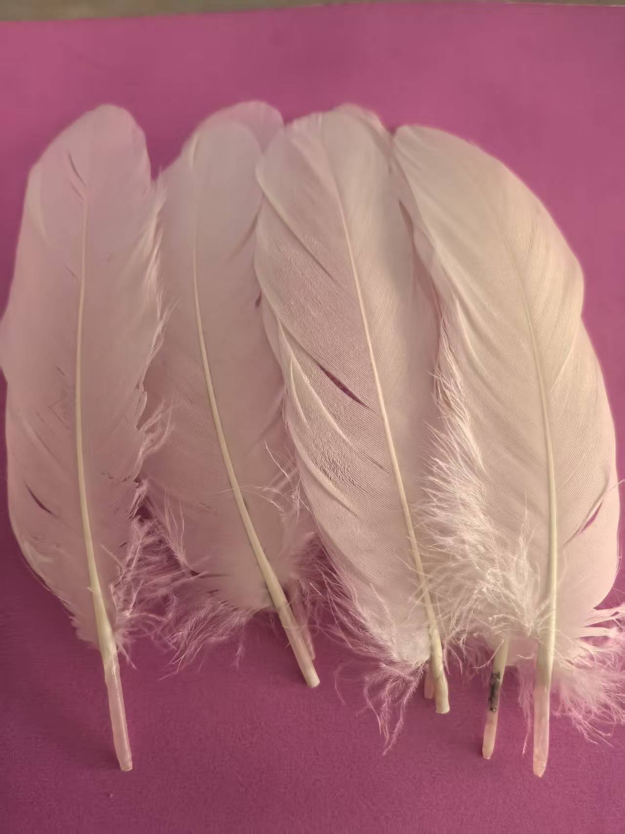 微信图片_20251103160026_60_409