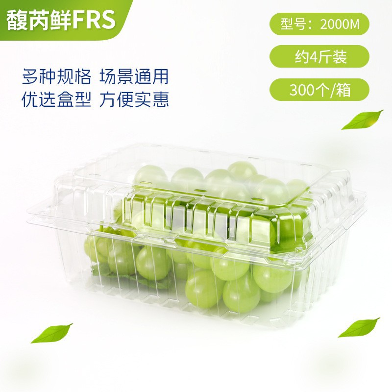 Caja de embalaje de fruta desechable caja de embalaje de plástico transparente caja de corte de fruta para llevar con tapa supermercado caja de frutas y verduras al por mayor