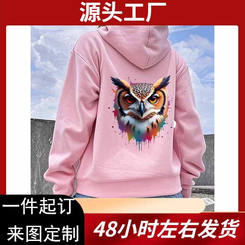 Cross-Border Export Owl Print Hooded Sweatshirt Amazon Wish One Piece Wholesale Temu