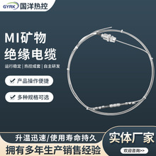 MI礦物絕緣發熱電纜鎧裝伴熱帶高溫加熱工業不銹鋼電纜廠家供應