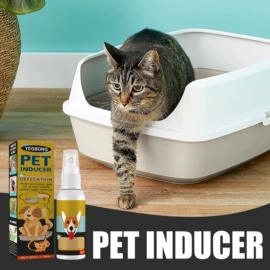 身体护理套装;其他美妆工具;头皮护理用品