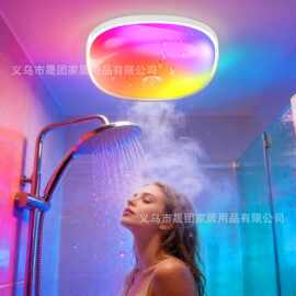 跨境IP65 Waterproof Rechargeable Shower Light 磁吸16色浴室灯
