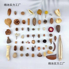 Ȼֲdiy˱ɹb׃ֹҾӱڒb