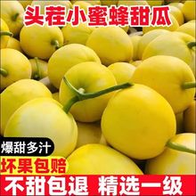 爆甜正宗山东星甜20小蜜蜂甜瓜蜂蜜新鲜现摘当季孕妇水果香瓜包邮