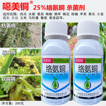 �f��ͭ25%�簱ͭ ���Ͽ�ή����ݲ��������������������ø�ɱ����