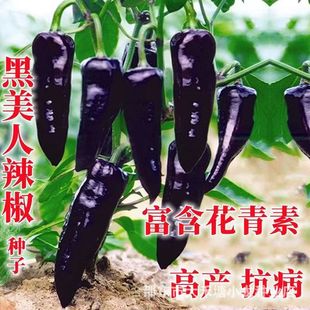 �����������⽷�N�Ӻ���ɫ�����N�Ѹ߮a����ţ�ǲʽ��N�ļ��߲���