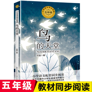 �B�����ðͽ�ɢ�ļ� С�W���꼉�̲�ͬ���n����m�x�σԽ�������