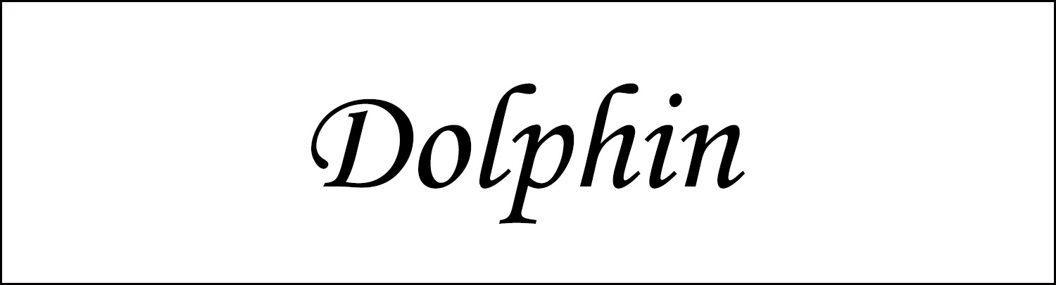Suitable for Byd Dolphin Mini Window Visor