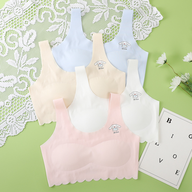 Simple Cute and Traceless One-Piece Ice Silk Underwear for Students in Developmental Period Girls Breathable Bra with Beautiful Back Simple Cute and Traceless One-Piece Ice Silk Underwear for Students in Developmental Period Girls Breathable Bra with Beautiful Back