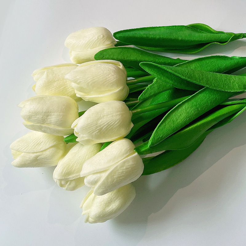 Tulipán blanco lechoso