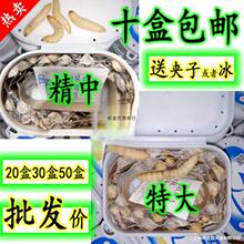 �������x�����x���x ���x �����x���w  �����B��ʳ�B��Ϟ�����x