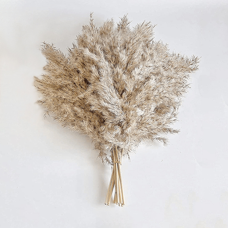 오리지널 컬러 리드 우드 10 꽃다발