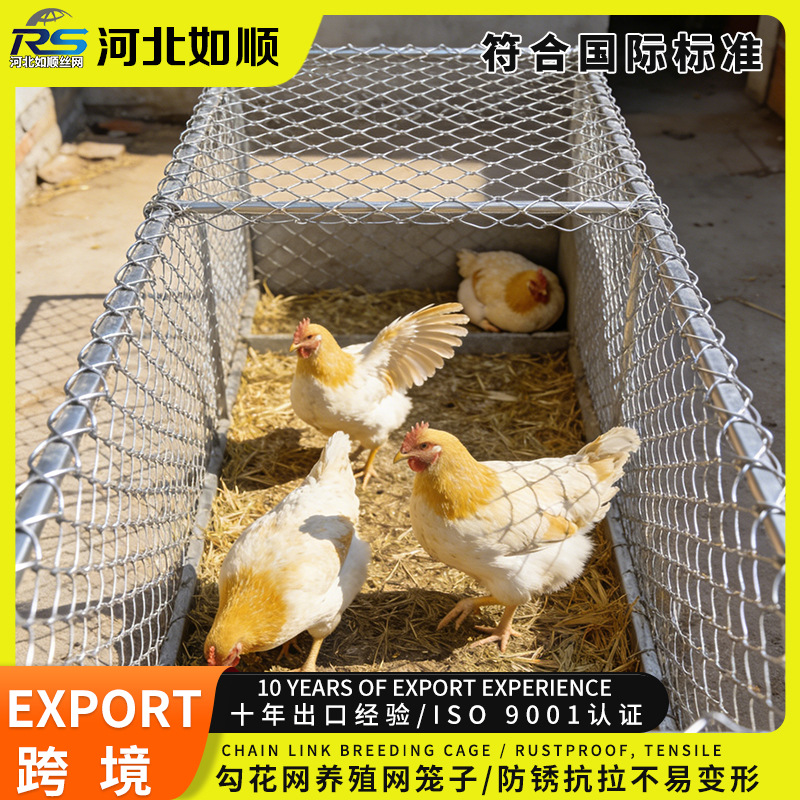 外贸出口镀锌方格河道户外菱形勾花养殖肉鸡笼子防锈围栏防护网
