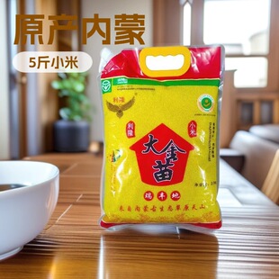 5�����SС�� ���ɳ������GɫС��ܛŴ��֬С����I�BƷ�|���x