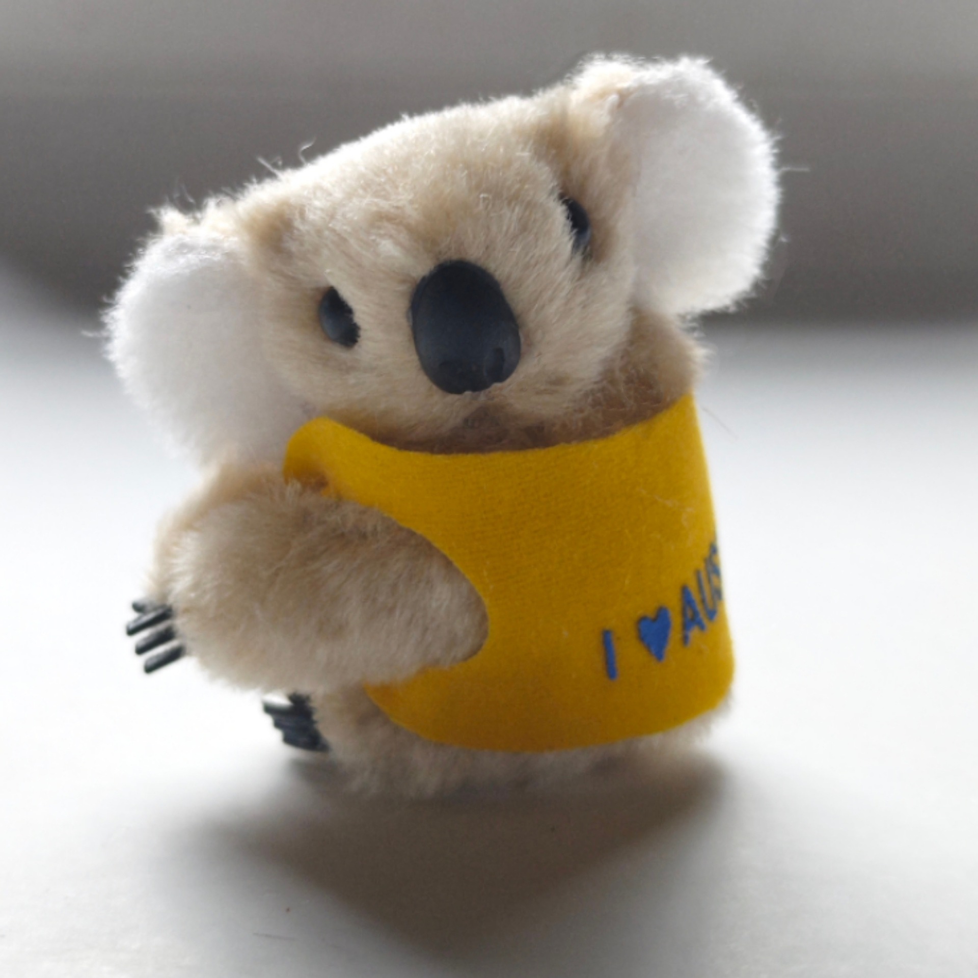 可爱考拉发夹毛绒树袋熊侧边夹秋冬立体刘海抓夹明星同款顶夹发饰