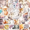 50 cats