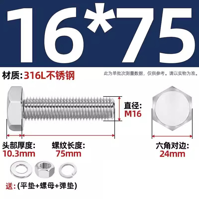 316L acero inoxidable perno hexagonal macho conjunto de tuerca de tornillo conjunto de cojín elástico plano completo M6M8M10M12-M20 image 185