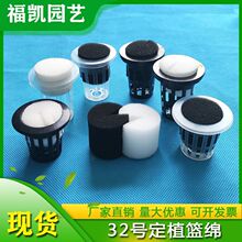 32pp注塑篮管道种植杯水耕水培无土栽培固根器黑白色定植棉定植篮