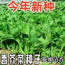 ���x��ζ���~��˷N���������Ѵ��ﶬ�ļ��̨�����߲˷N�Ӵ�ȫ