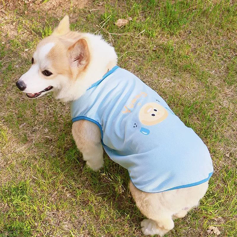 Одежда для собак Шиба-ину, корги, бишон, такса, весенне-летняя крутая одежда, тонкий жилет, защита от выпадения волос, защита от солнца, защита от грязи на открытом воздухе