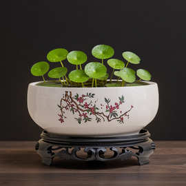 碗莲专用盆缸铜钱草睡莲一叶莲水仙花盆金钱草水培植物盆无孔陶瓷