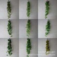 洹ڒֲb쾰҃ȵG~ϼٻl