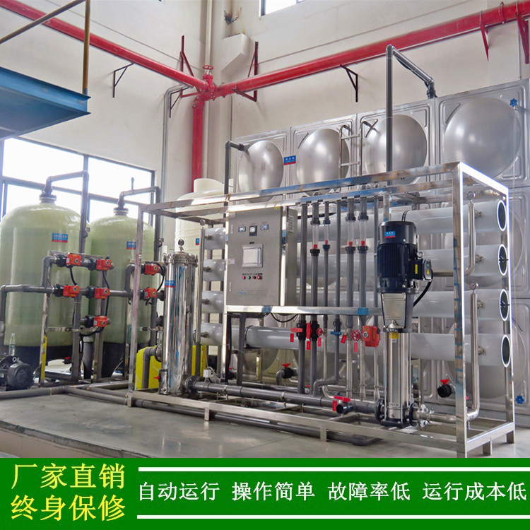 供应12吨每小时去离子水设备电动阀PLC全自动反渗透纯水设备绿健