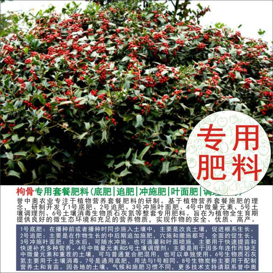 1-50斤誉中奥枸骨专用有机肥复合肥底肥追肥叶面肥冲施肥水溶肥