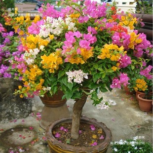 ����÷�������������ļ��_���ܲ��������ذ�ֲ���҃��̨ͥԺ����