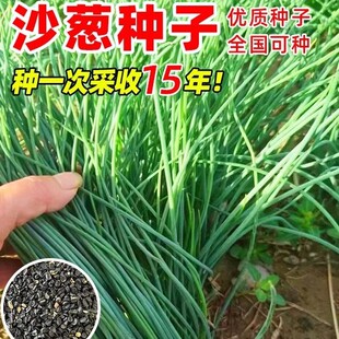Ұ��ɳ�[�N�Ӿ��[���[С�[�N��ԭ�b�ļ��߲˷N�Ӵ�ȫ�˷N�Ӵ����l