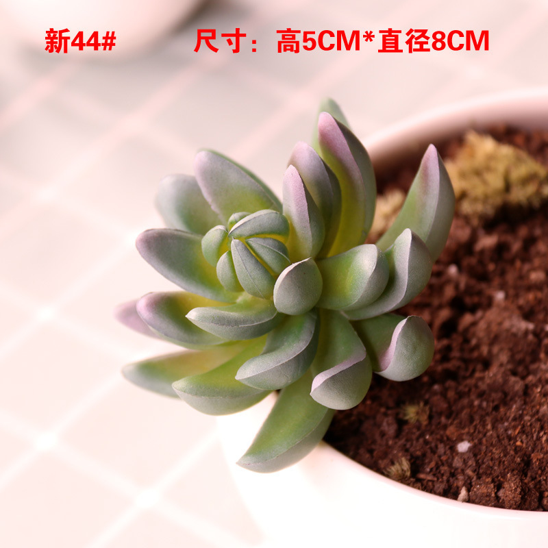 模擬多肉植物、小さな多肉植物、高品質の偽緑植物の壁、室内装飾の組み合わせ、植毛、リアルな模擬花の卸売|undefined