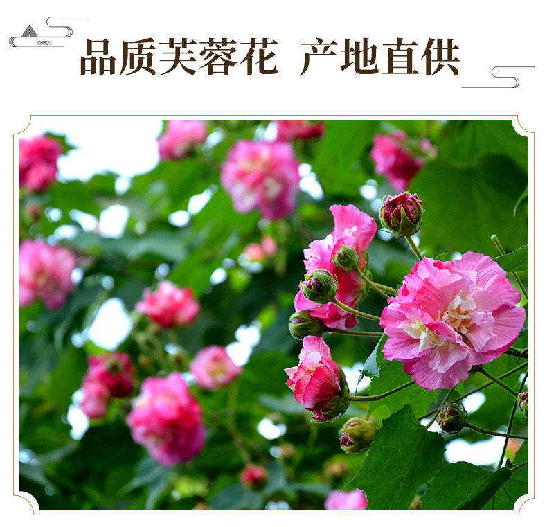 Dried Hibiscus Flower Fu Rong Hua Herbal Tea Ingredient 500g key features