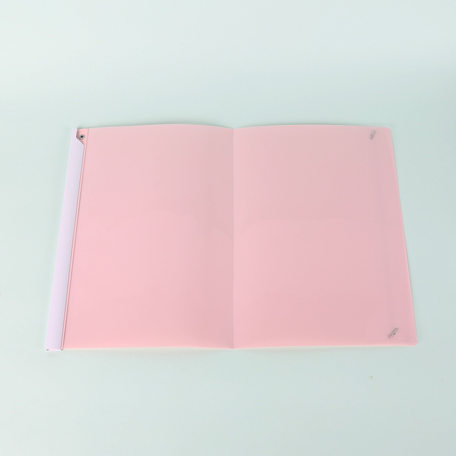 A3 로프 버클 시험지 홀더-핑크