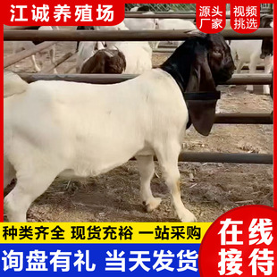 ���^�Ų��d����w�r�� ���ۼ��B����С��� ���N����ɽ����ɽ����