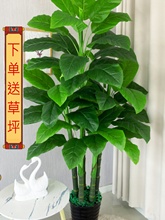 ٘ٻf҃bֲԿ͏d[ؾGֲ