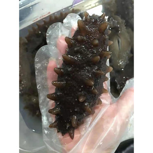 ���_˹�M�ں������lԭ؛��؛���ʳ�ĺ��rˮ�aƷ���ɺ���һ���b