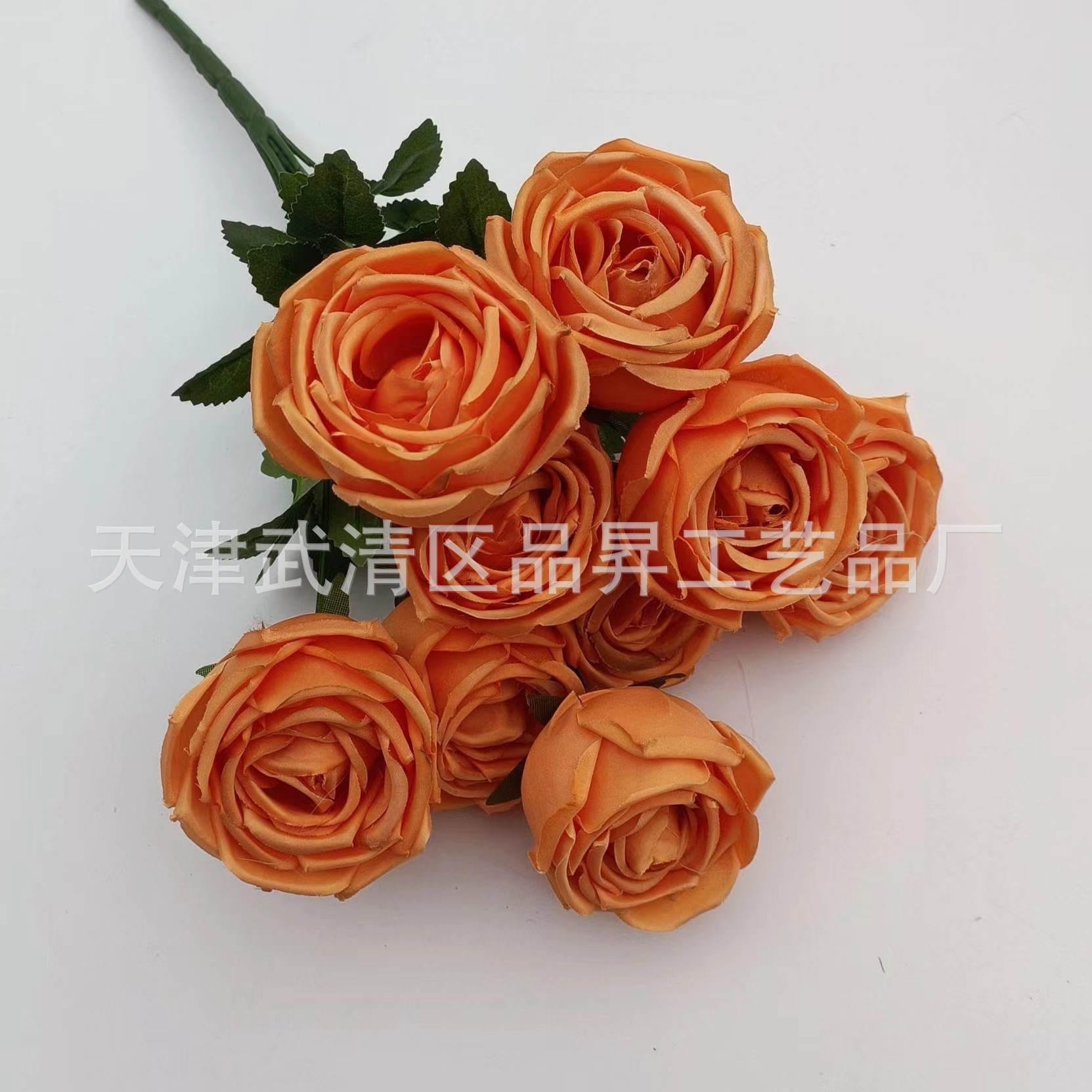 5693cb96496986c464efd386c6e62e