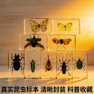 �羳���Q���l��֬���x�˱�ϐ�Ӫ�������ߔ[��С�YƷ���x�˱��[��