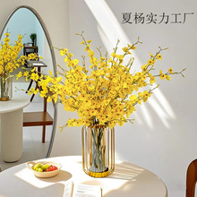 �����m���滨�p�ݔ[����Ʒ�|�͏d�����ߙn�[�O�Sɫӭ���ٻ����b�