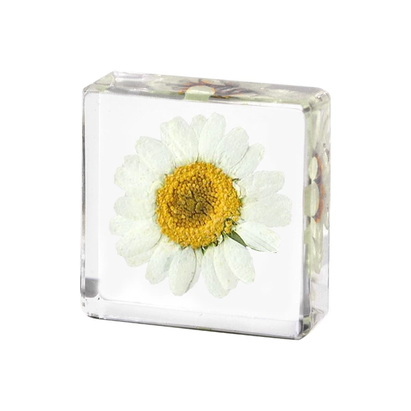 3.8cm small square white crystal chrysanthemum