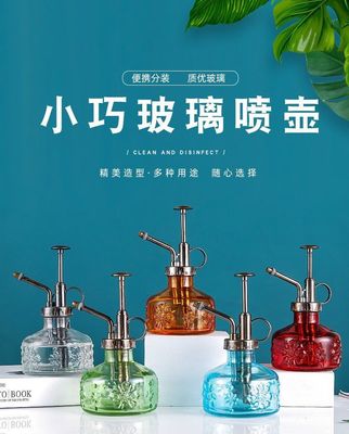 新款浮雕複古玻璃噴壺園藝家用灑水噴霧器小型壓力澆水壺澆花瓶