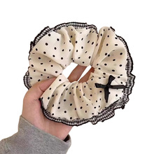 2025�����¿�ڰײ��c���cȦ��߅��̖���^�l�l�K���X���^�K�����Y