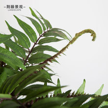 ����������Է���Gֲ�㴻�G���˱��W�L�Ꭷ�Gɫ�͏dֲ���Ř�ާ�