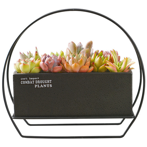 Nordic ins style cement flowerpot desktop creative iron mini flowerpot combination set foam packed small flowerpot
