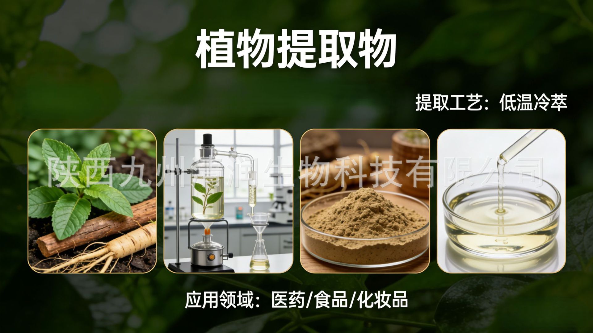 应用领域