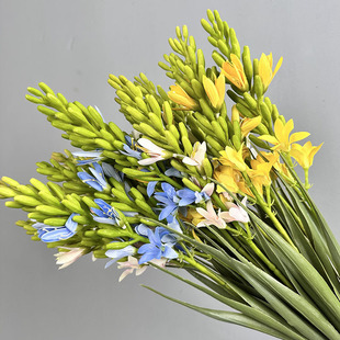 ҹҾbcƷLӻɏٻ滨