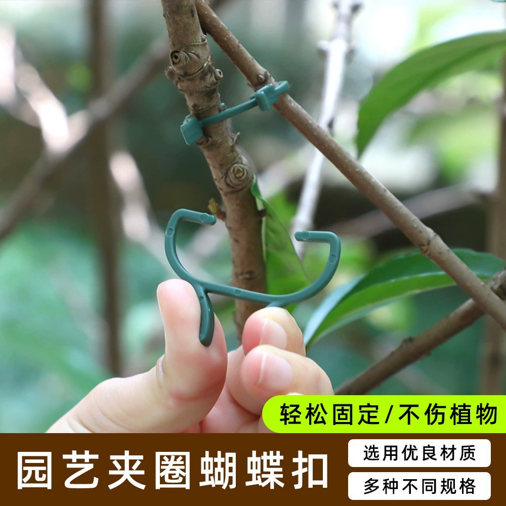 Садовые растения фиксирующий зажим застежка бабочка застежка растение прививка виноградной лозы фиксирующий зажим фиксатор пластик 8 слов пряжка